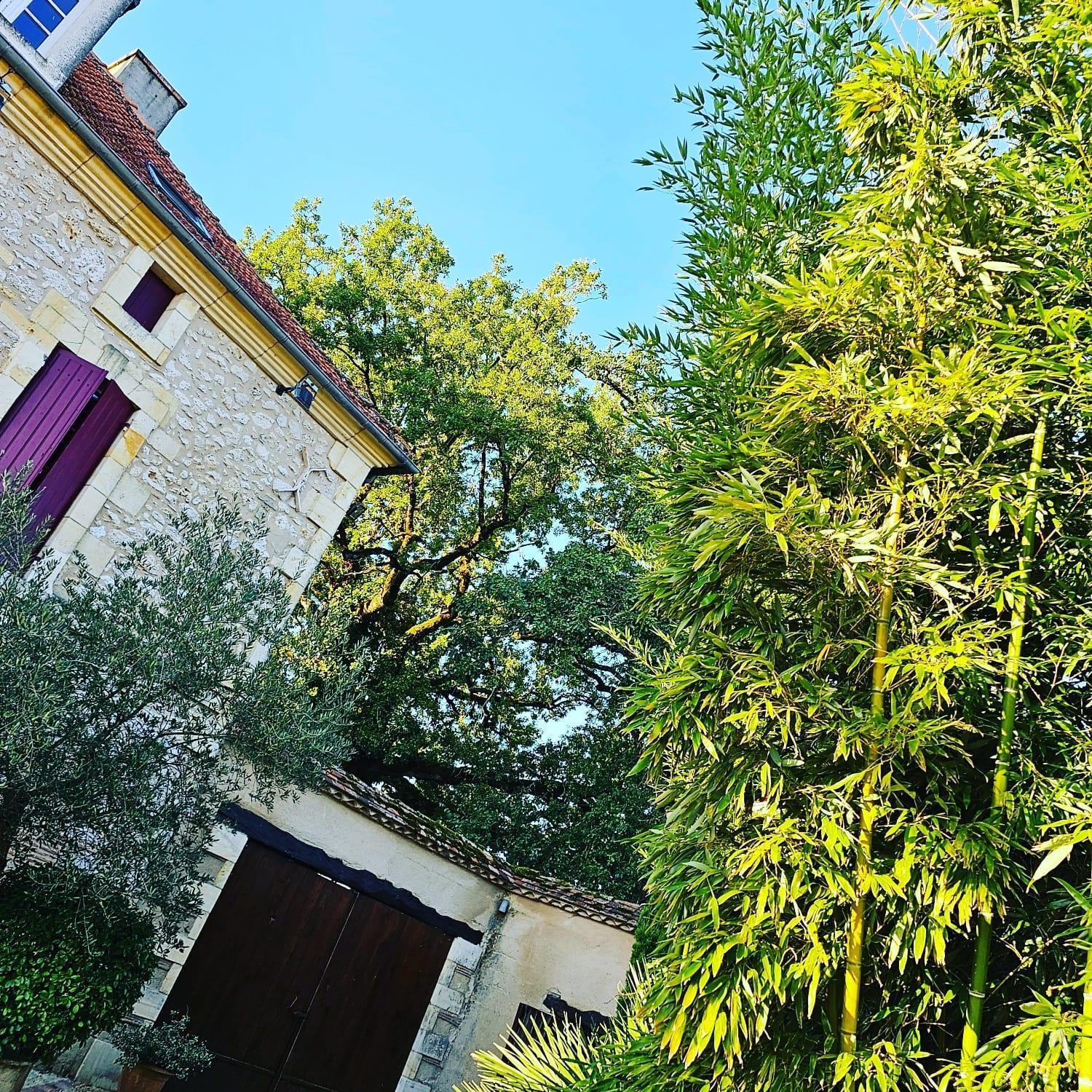 Bed and Breakfast Domaine Au Marchay Nojals-et-Clotte Esterno foto